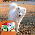 LEGEND SANDY Paquete de juguetes de peluche chirriantes para cachorros, juguetes masticables pequeños para cachorros, 12 juguetes para perros a granel con chirriantes, lindo juguete suave para