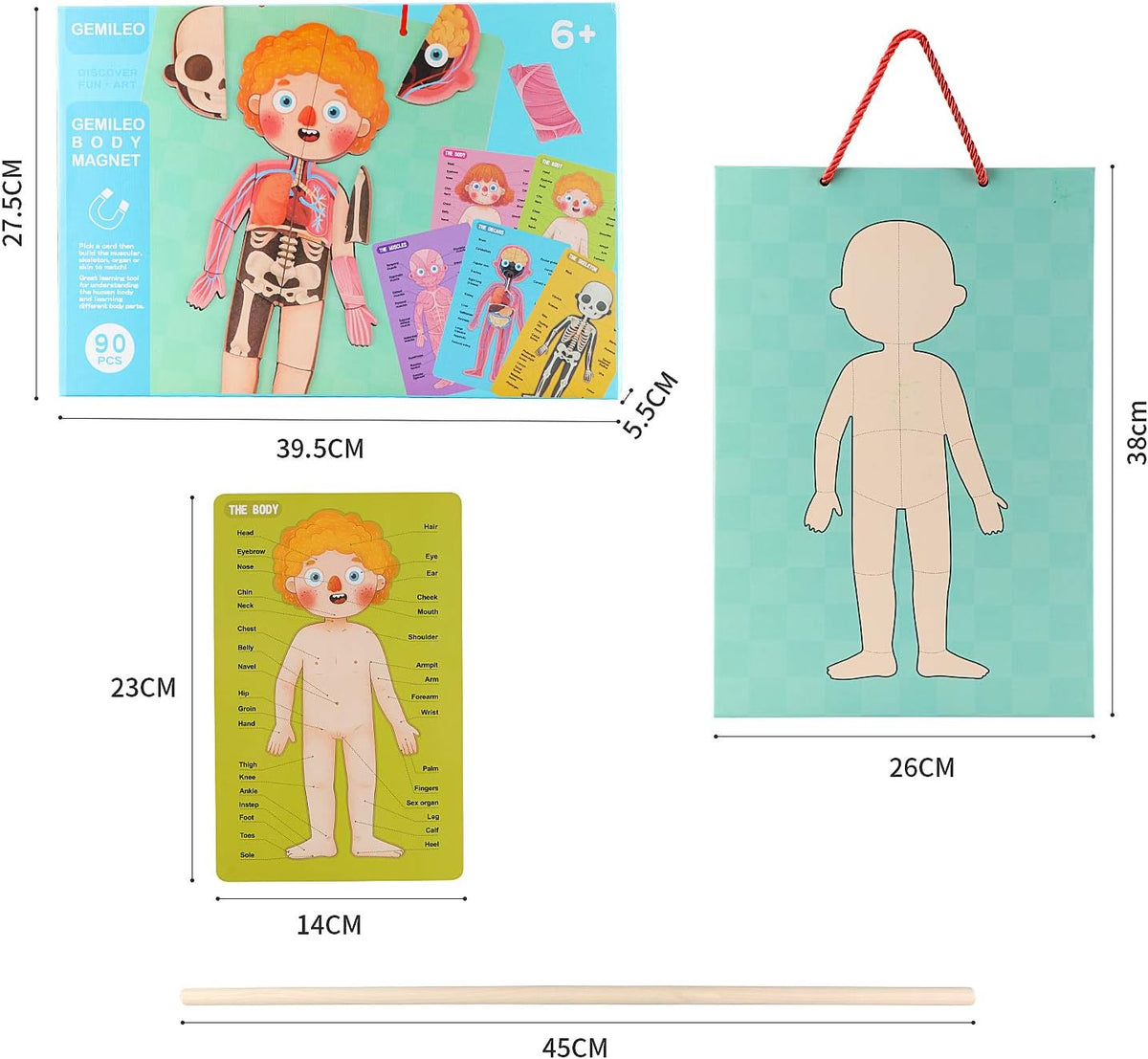 Rompecabezas de cuerpo humano para niños pequeños, 90 piezas