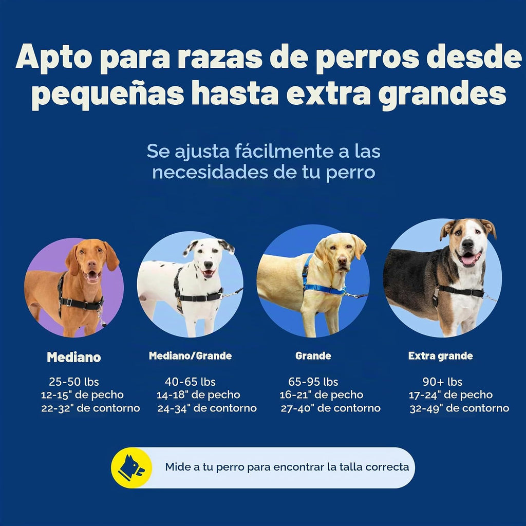 PetSafe Easy Walk - Arnés para perro, sin tirones, gris carbón, grande