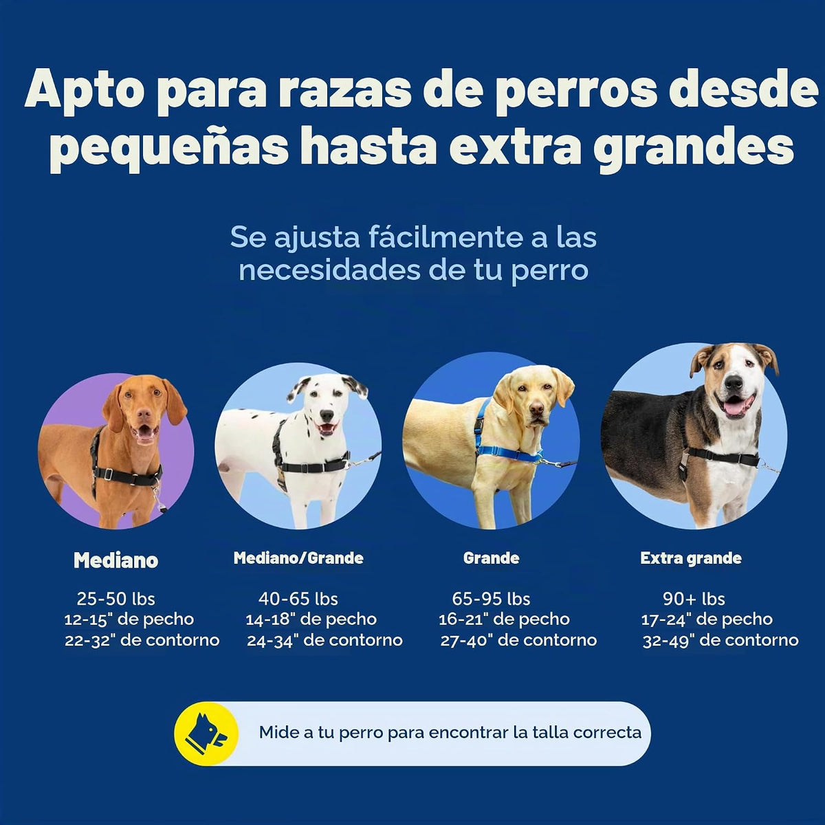 PetSafe Easy Walk - Arnés para perro, sin tirones, gris carbón, grande