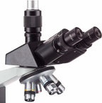 AmScope T490B Microscopio trinocular compuesto, ampliación de 40X-2000X, luz halógena, condensador Abbe, mesa mecánica de 2 capas, óptica de alta resolución, premiado con el n.° 6 entre los 10 mejores microscopios de 2016