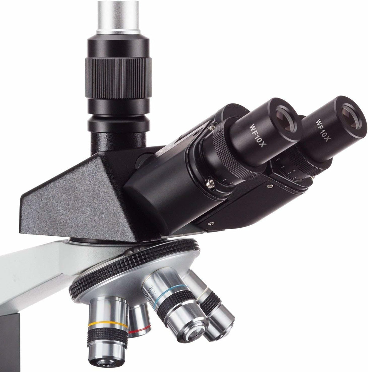AmScope T490B Microscopio trinocular compuesto, ampliación de 40X-2000X, luz halógena, condensador Abbe, mesa mecánica de 2 capas, óptica de alta resolución, premiado con el n.° 6 entre los 10 mejores microscopios de 2016