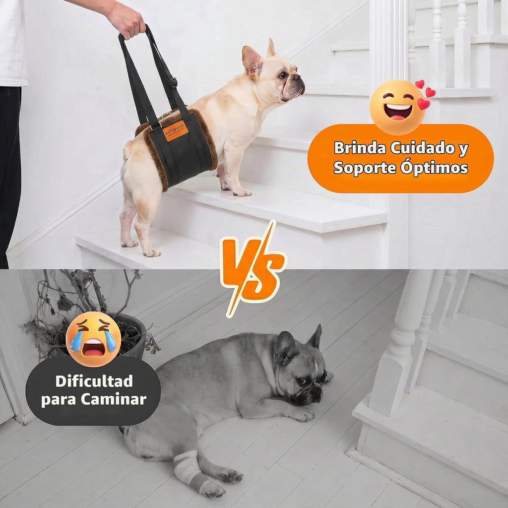 Arnés de elevación ajustable para perros, honda grande de la ayuda