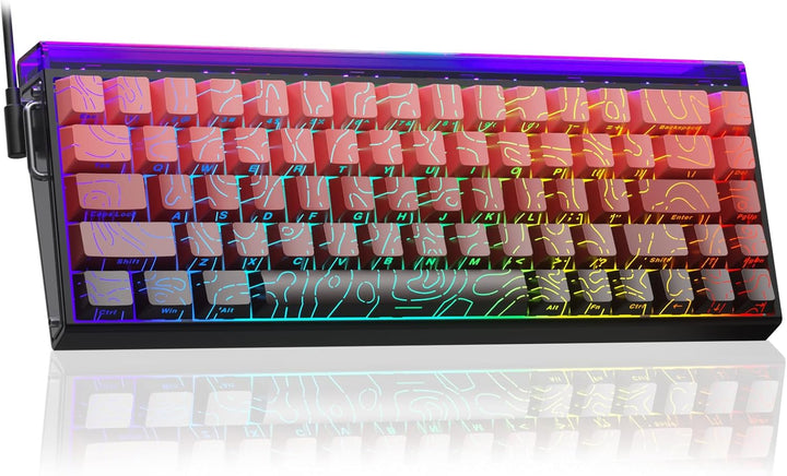 AULA Hero 68 HE 60% Teclado Gaming Cableado, Teclado con Interrupto...