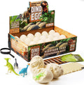 Kit de excavación de huevos de dinosaurio (24 huevos)