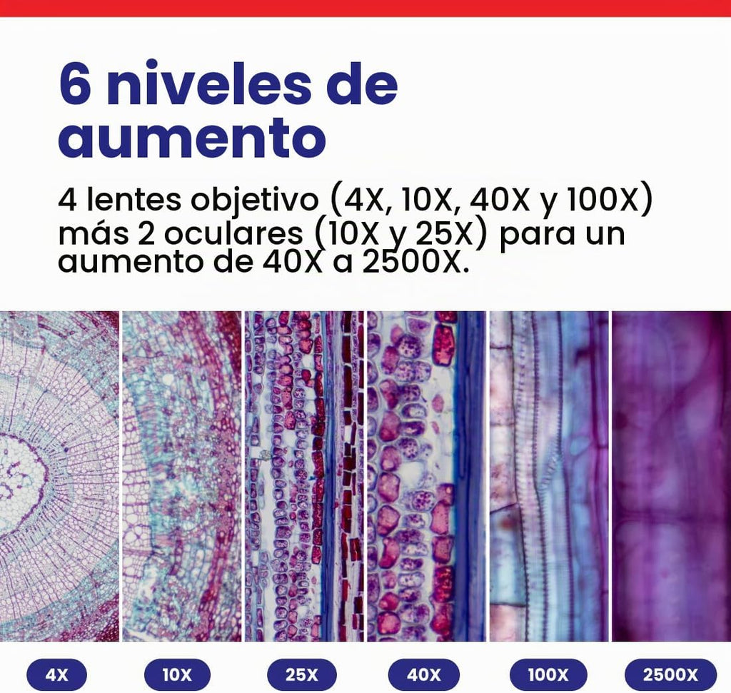 AmScope Serie B120 Microscopio compuesto binocular LED para estudiantes y profesionales - aumento 40X-2500X - Incluye cámara USB de 5MP y cabezal Siedentopf