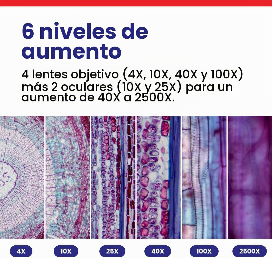 AmScope Serie B120 Microscopio compuesto binocular LED para estudiantes y profesionales - aumento 40X-2500X - Incluye cámara USB de 5MP y cabezal Siedentopf