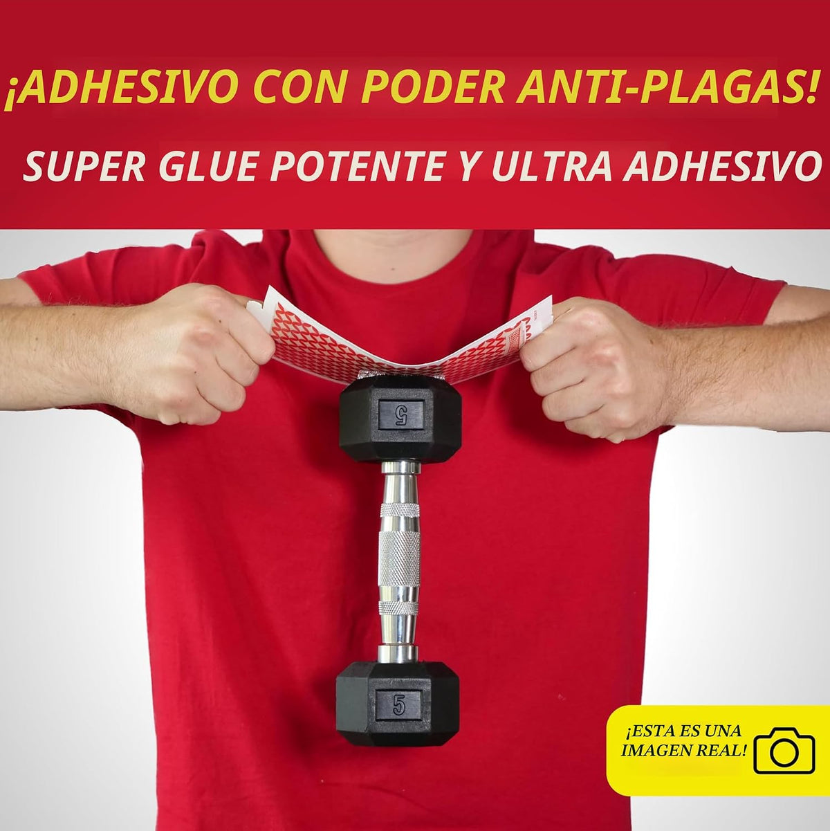 Catchmaster Tablas de pegamento para ratones e insectos, 60 unidade...