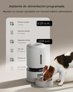 PETLIBRO Alimentador automático para gatos