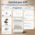 Comedero automático para gatos Microchip RFID, 16 tazas, color