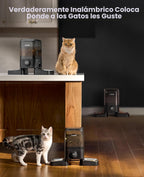 oneisall Comedero automático inalámbrico para gatos 2.4G, recargable