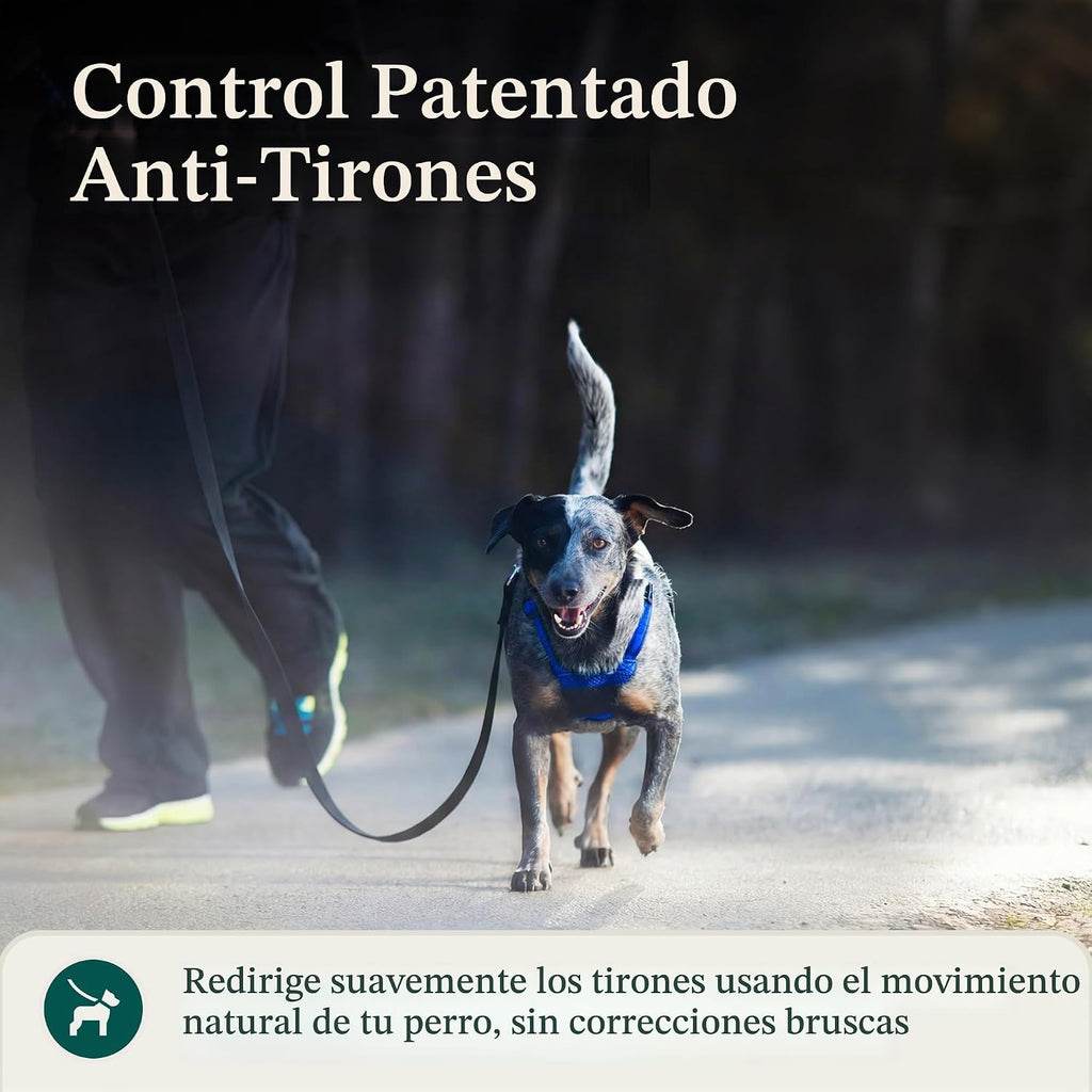 Sporn Arnés sin tirones para perro, arnés de malla de nailon duradero para perros medianos, diseño sin estrangulamiento, mangas de sujeción acolchadas, ajuste ajustable, fácil de poner y quitar, ideal para razas medianas, azul