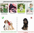 20 Unidades Juguetes para Cachorros para la Dentición, Juguetes para Masticar con Cuerda, Cepillo Dental para Perros, Pelotas para Golosinas, Juguetes de Peluche y Juguete Chirriante para Perros Pequeños y Medianos con Canasta (20 Paquete Elefante)