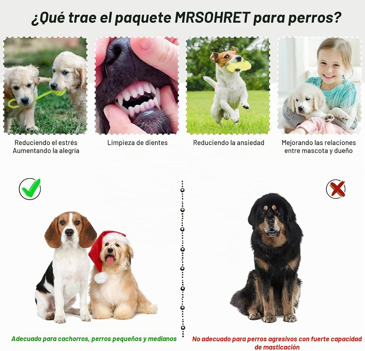 20 Unidades Juguetes para Cachorros para la Dentición, Juguetes para Masticar con Cuerda, Cepillo Dental para Perros, Pelotas para Golosinas, Juguetes de Peluche y Juguete Chirriante para Perros Pequeños y Medianos con Canasta (20 Paquete Elefante)