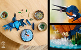 LEGO Icons Kingfisher - Juego de modelos detallados para