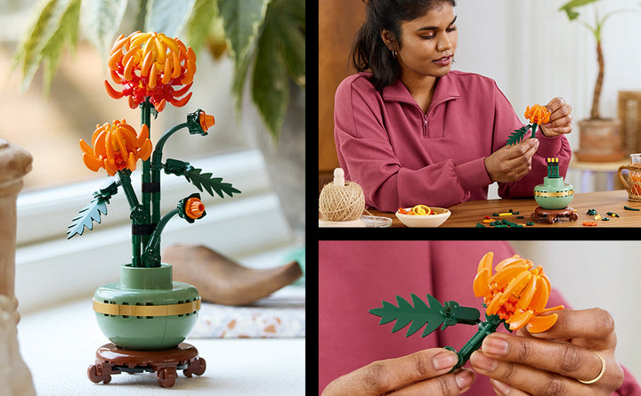 LEGO Botanicals - Juego de construcción de crisantemo para