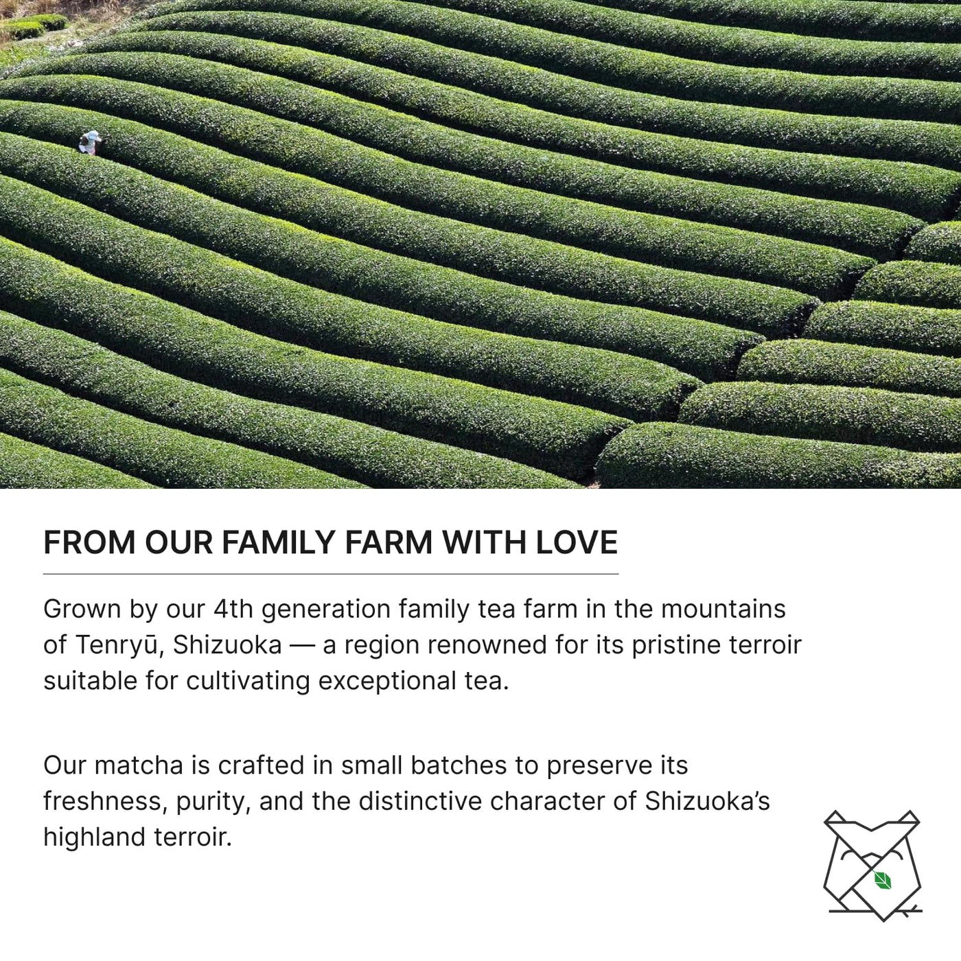 FKRO Té verde Matcha orgánico de grado ceremonial Primera