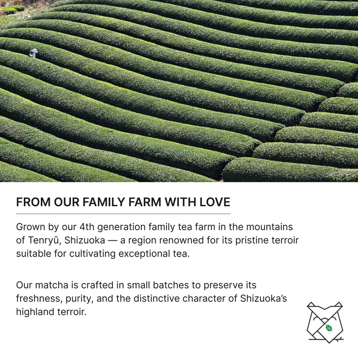 FKRO Té verde Matcha orgánico de grado ceremonial Primera