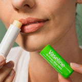 Barra terapéutica para labios con aloe fresco y vaselina - 4,5 g (0...