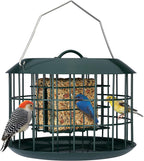 Kingsyard Comedero de sebo a prueba de ardillas, comedero para pájaros en jaula para colgar al aire libre, todo de metal, capacidad de doble sebo para pastel, bandeja y resistente a la intemperie, verde