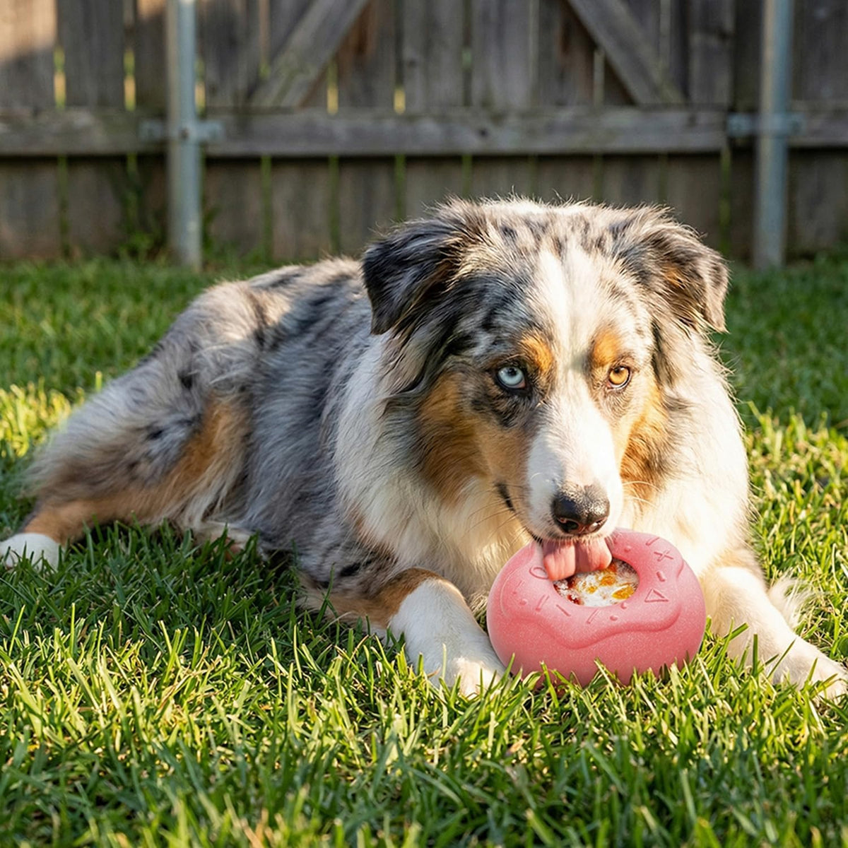 Juguete congelado todo en uno para perros con molde extraíble, juguete de enriquecimiento para masticar y lamer para estimulación mental, indestructible para masticadores agresivos, fibra de