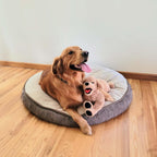 LotFancy Animales de peluche para perros, 21 pulgadas