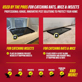 Catchmaster Trampas de pegamento para ratas y ratones con masilla a...