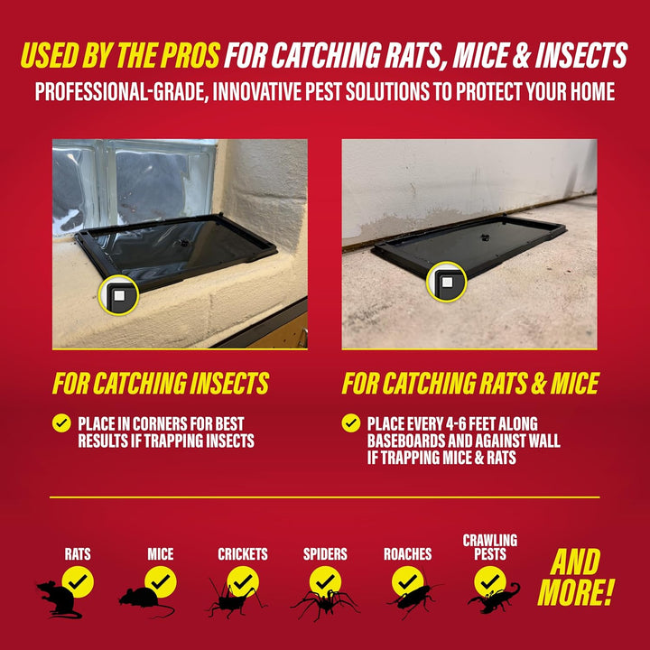 Catchmaster Trampas de pegamento para ratas y ratones con masilla a...
