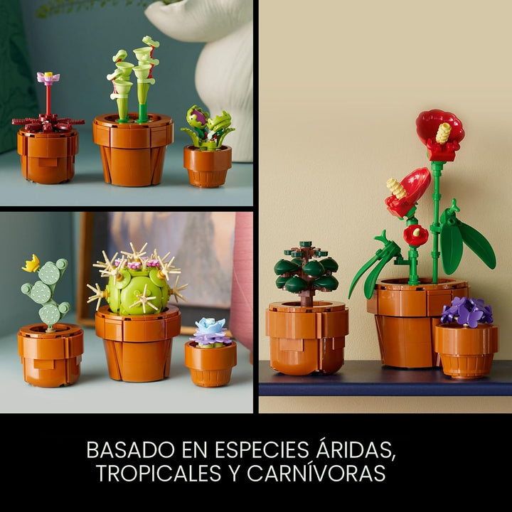 LEGO Botanicals - Juego de plantas de interior