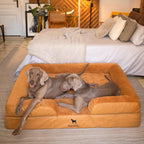 XXL - Cama para perro, espuma ortopédica de enfriamiento con