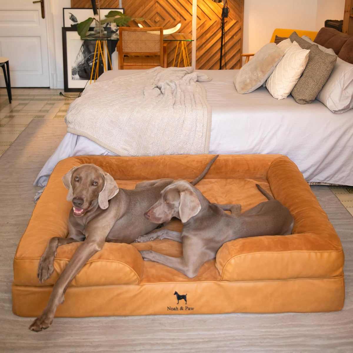 XXL - Cama para perro, espuma ortopédica de enfriamiento con