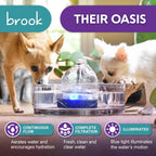Fuente de Agua para Gatos Brook de Vidrio 90 oz – Fuente para Mascotas y Perros, Apta para Lavavajillas