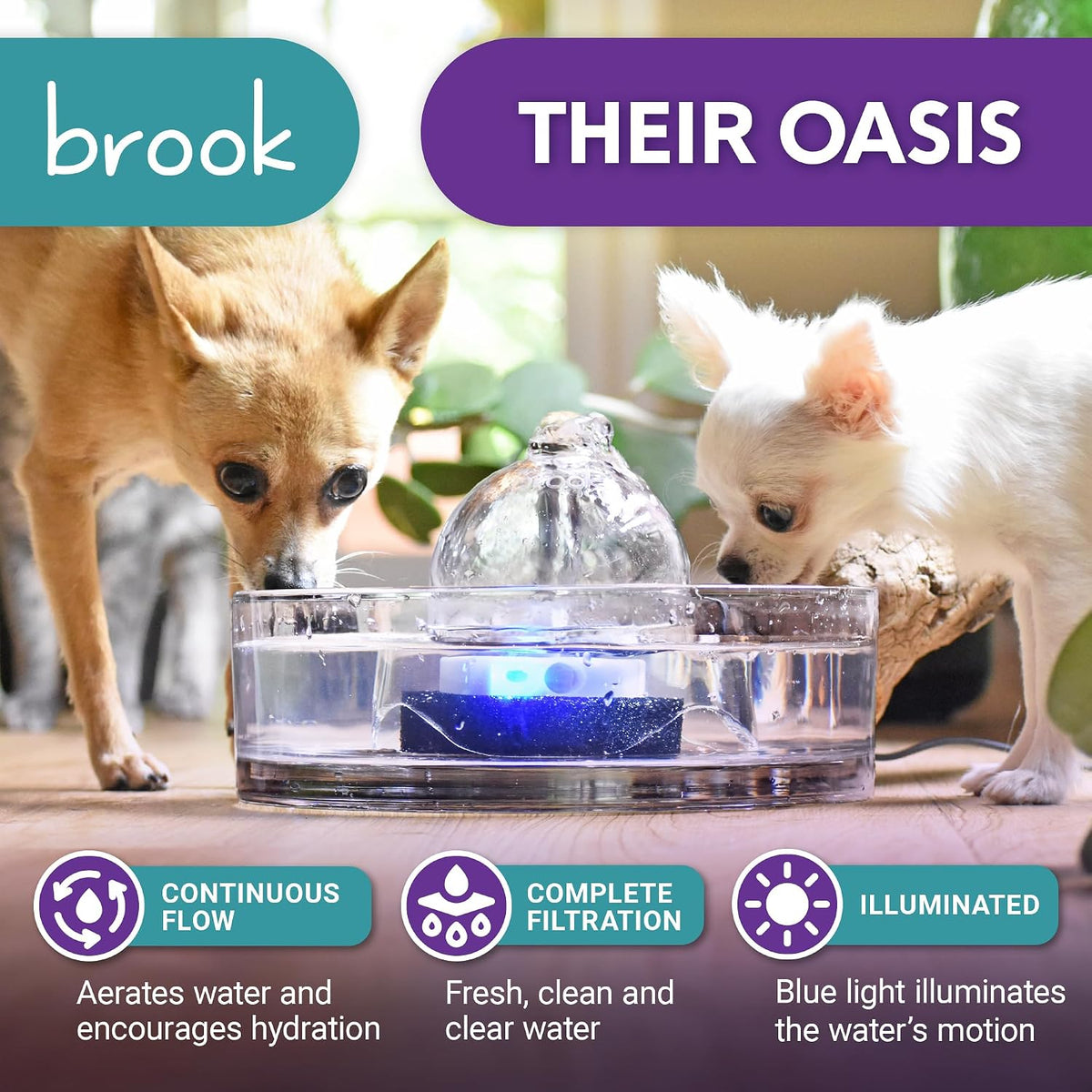 Fuente de Agua para Gatos Brook de Vidrio 90 oz – Fuente para Mascotas y Perros, Apta para Lavavajillas