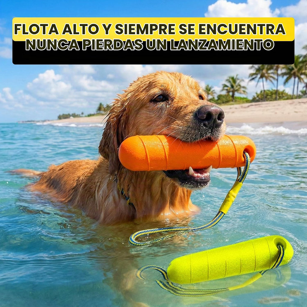 Juguetes acuáticos flotantes para perros, paquete de 2, palo de