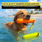 Juguetes acuáticos flotantes para perros, paquete de 2, palo de