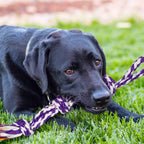 Large Tough Chew Toys para Aggressive Chewers, 9 Pack Dog Rope Toys