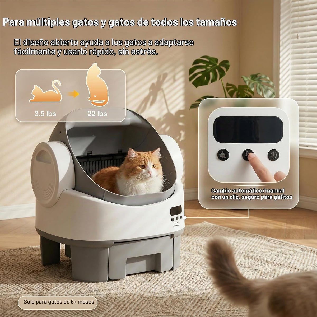 WARCAT Caja de arena automática, parte superior abierta, cerradura para