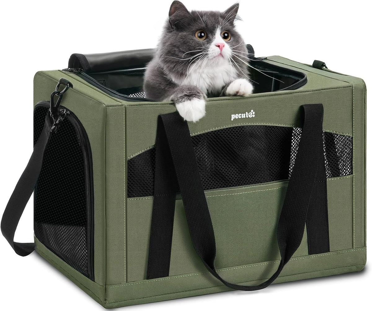 Pecute Transportador para gatos estable, transportador de mascotas con