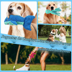 Dog Squeak Toys para Aggressive Chewers, Crinkle Puppy Chew Toys