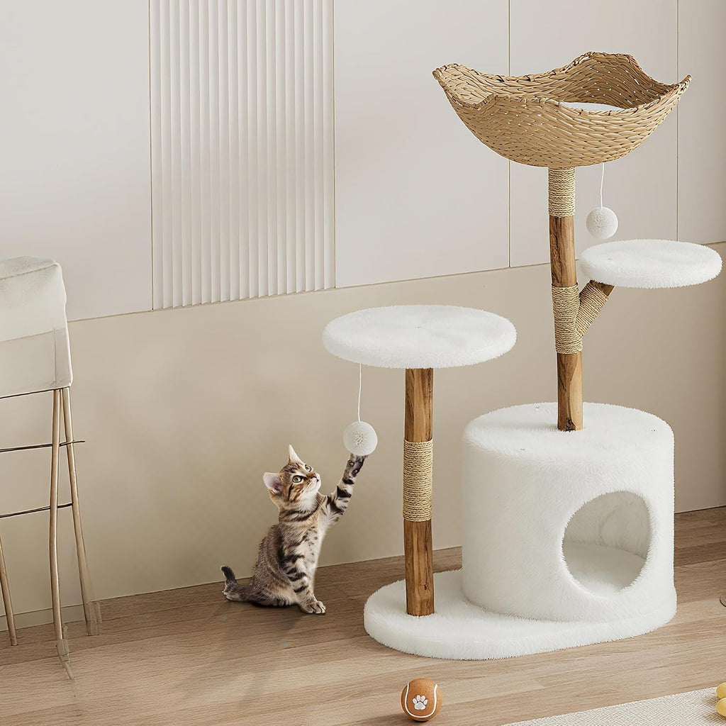 Garvee Torre de árbol de madera para gatos, interior y apartamento de mimbre natural con columna de captura de gatos y cama, marco de árbol estético