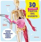 Dan&Darci Modelo de cuerpo blando de anatomía humana, kits de ciencia para niños de 4 a 8 años, juguetes STEM para regalo de cumpleaños de niños de 4, 5, 6, 7, 8 años, juguetes educativos de