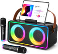 Máquina de karaoke, altavoz portátil Bluetooth con 2 micrófonos
