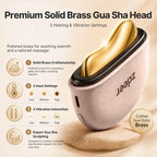 GS5 - Kit eléctrico de Gua Sha con calefacción, herramienta masajeadora facial de luz roja, rosa