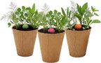 Buzzy Seeds - Vasos de bola de semillas de flores silvestres, paquete de 6