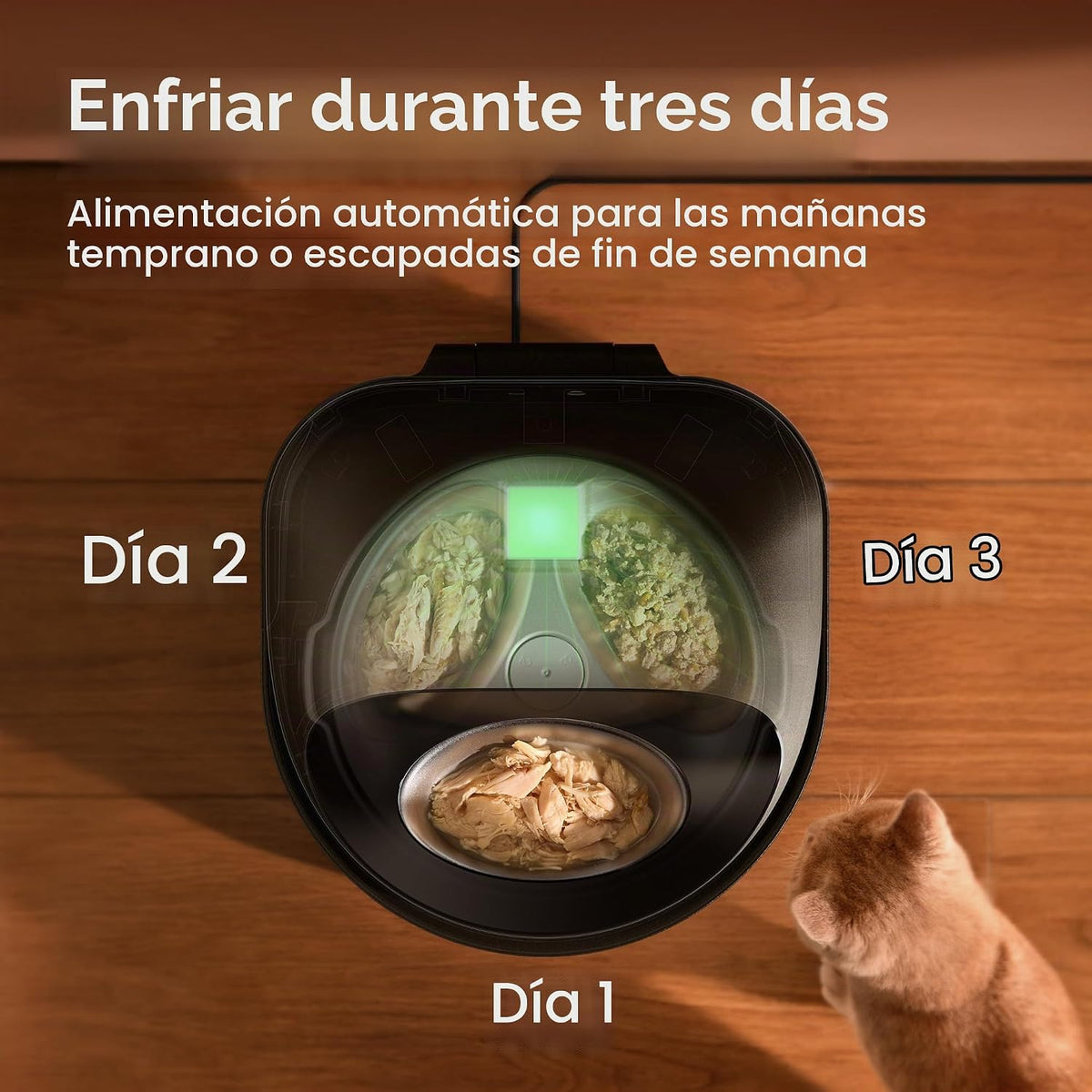 PETLIBRO Caja de arena automática y comedero para gatos para alimentos húmedos y caja de arena autolimpiante con análisis de residuos de IA y reconocimiento de varios gatos