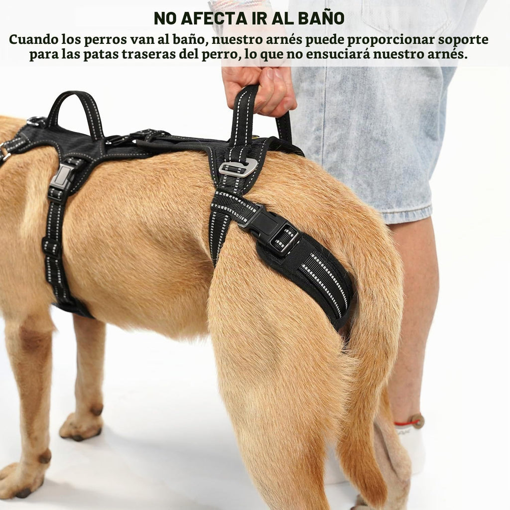 COODEO Mobility - Arnés de elevación para perros, arnés de apoyo y arnés para caminar para perros, chaleco de apoyo de rehabilitación de patas traseras de mascotas, transportador para perros mayores con lesiones en las articulaciones, artritis, escalera