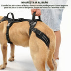 COODEO Mobility - Arnés de elevación para perros, arnés de apoyo y arnés para caminar para perros, chaleco de apoyo de rehabilitación de patas traseras de mascotas, transportador para perros mayores con lesiones en las articulaciones, artritis, escalera
