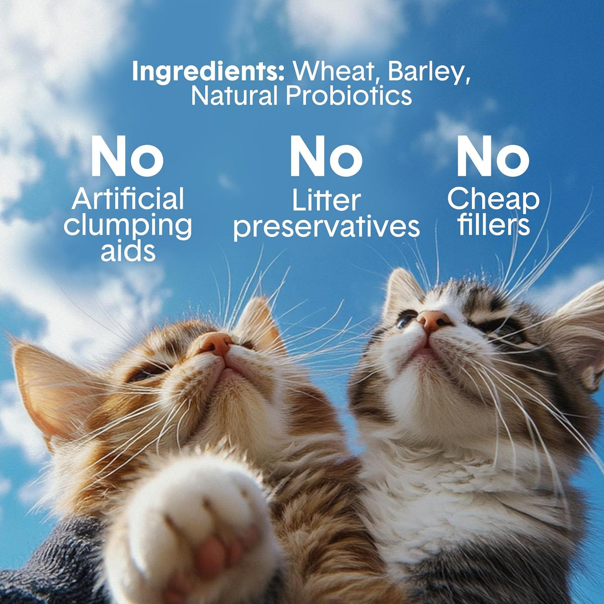 Boxie - Arena para gatos extra fuerte, ligera con control de olores de 35 días, aglutinante, 11.5 libras
