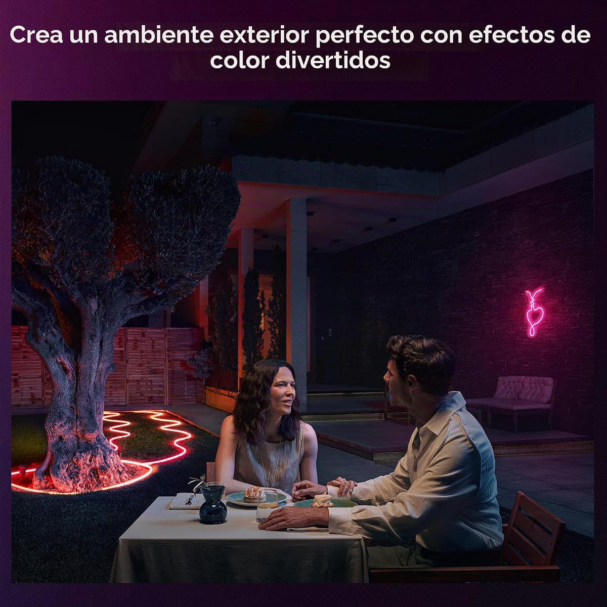 Philips Hue Tira de luz LED multicolor de neón para exteriores de 16 pies