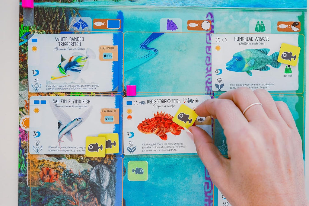 Stonemaier Games: Finspan - Wingspan Game